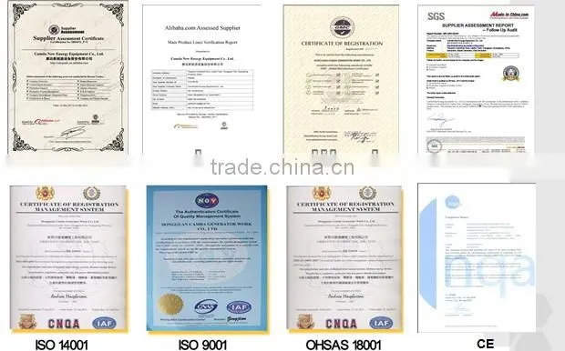 Ce And Iso Approved Biogas Generator / Natural Gas Generator / Biomass Power Plant