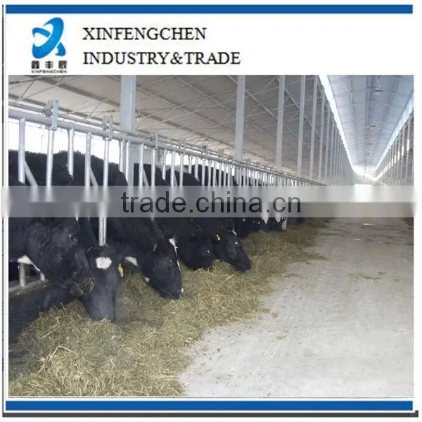 cattle headlock cattle feeder head locks
