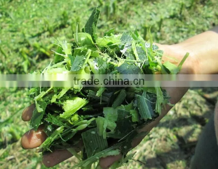 Self-propelled corn silage chopper cutter machine with 140hp turbo engine