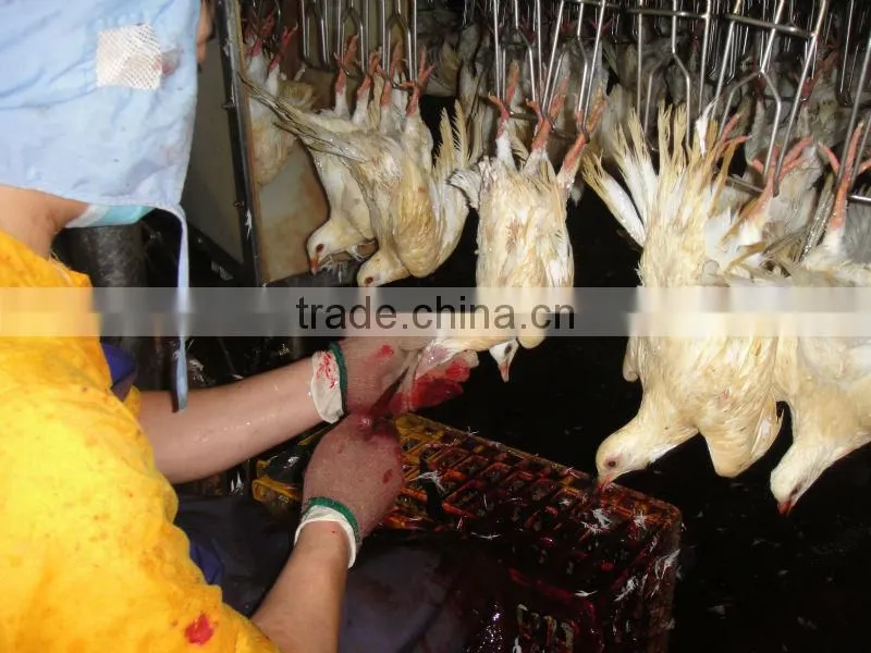 poultry slaughter machine for broiler