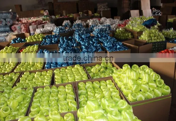 PP packing rope for Malaysia market from Dongtalent