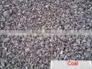 Z type bucket conveyor (TX)