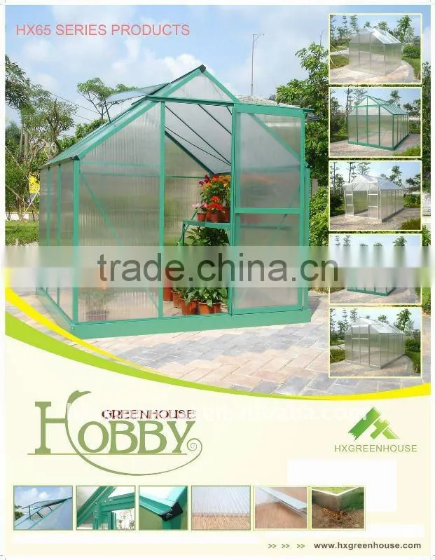 New-style walk-in greenhouse HX54016A