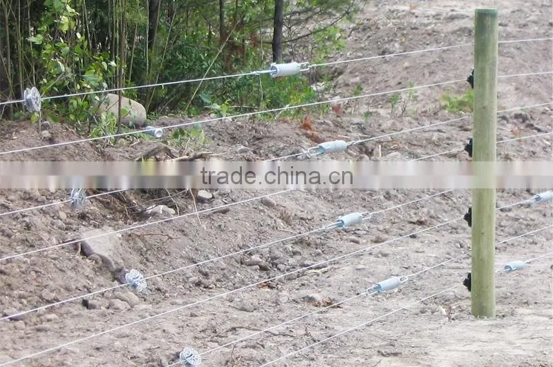 Electric Fence Plated,Hot-dipped Galvanized Tension Spring