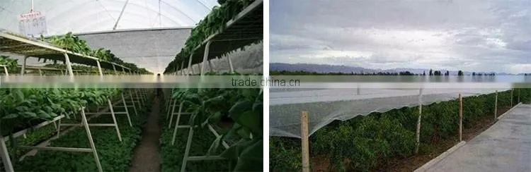 Functional nylon anti hail net machine produce grass protection mesh