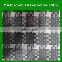 china factory 100% virgin reinforced plastic roll sheet korea pe tarpaulin