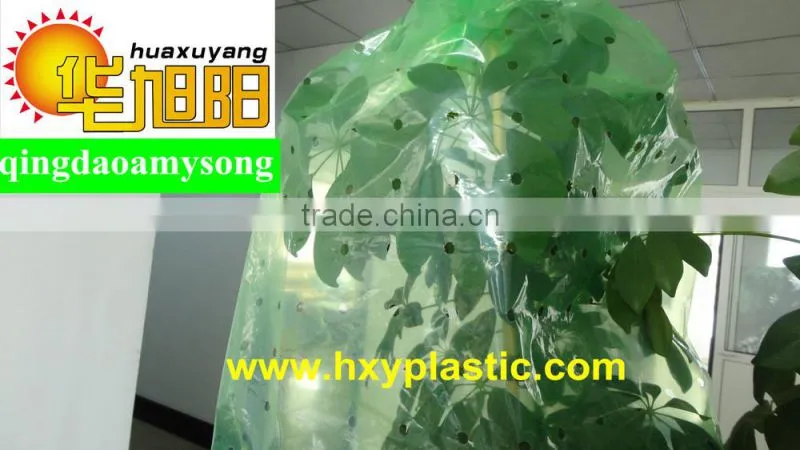 70micorn thickness PE plastic tomato plant cover for agricultural use