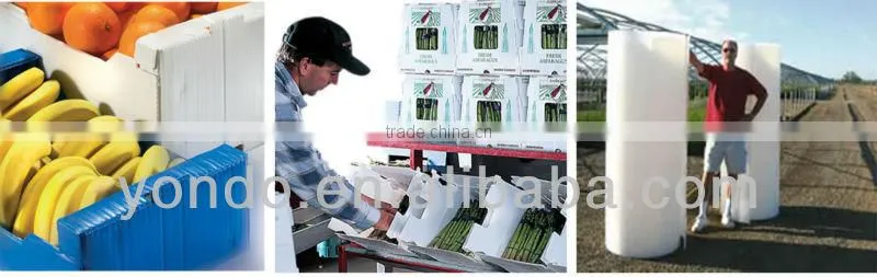 pp corrugated food packaging, Plastic Printing Food Packaging