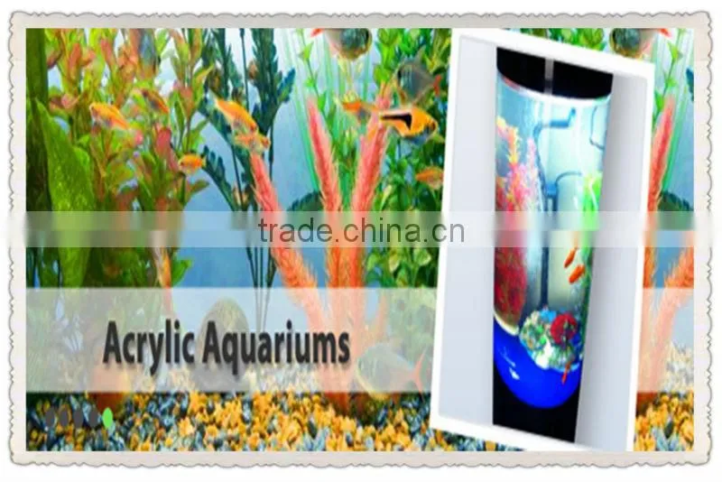 Hot sale! Various Design Acrylic Vase Wholesale with wholesale factory price