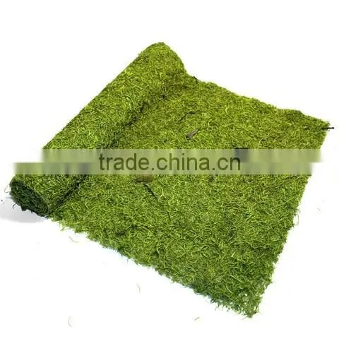 natural moss 1 kg for florist or packing