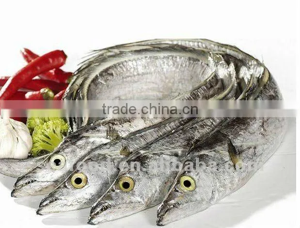 Ribbon Fish