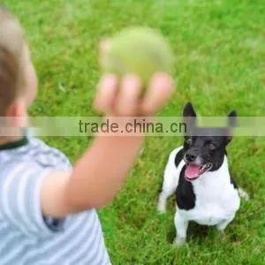 Plush pet toy for dog with squeaker