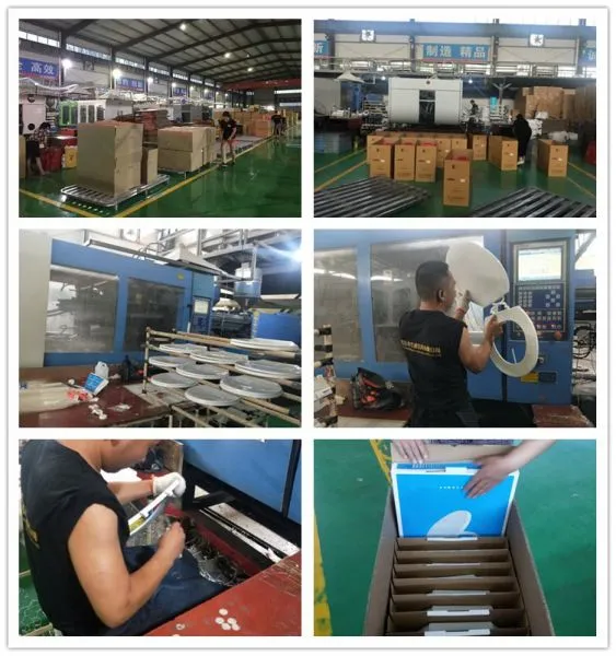 China supplier toilet seat,toilet seat manufacturer China