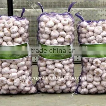 Normal white Garlic from Jinxiang
