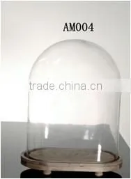 clear glass jar cloche