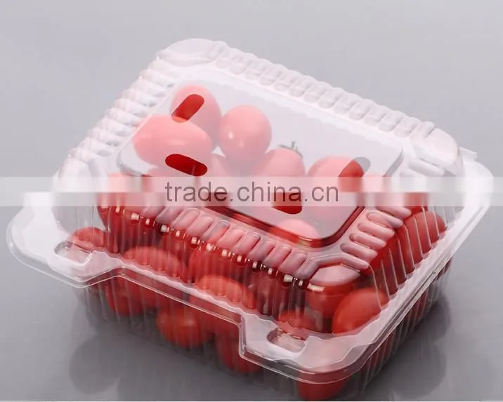 Small clear plastic waxberry packaging box