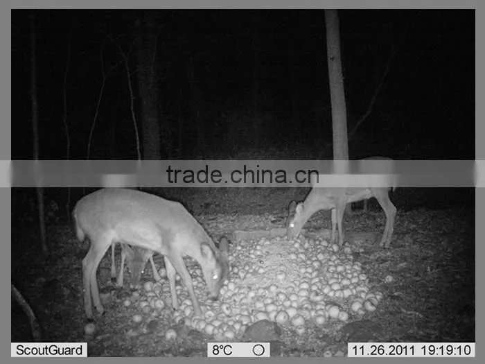 PIR snesitivity pir camera hunting