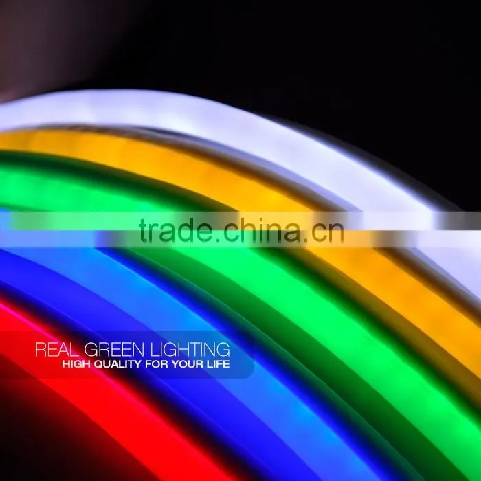 220V/240V RGB LED Neon Rope Light from RG Lighting Factory