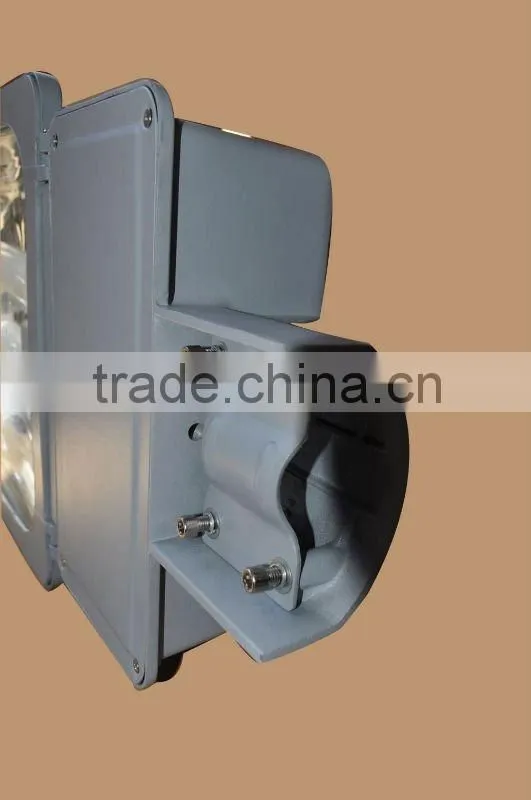 Panda Electrodeless Induction lamp street light