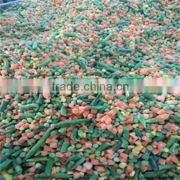 IQF Frozen Sweet Corn Whole Kernels