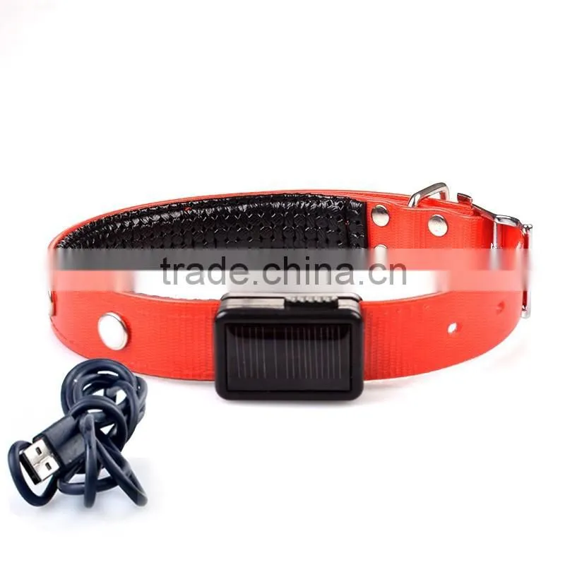 Flashing Safety LED USB Rechargeable Dog Collar Pet Collars