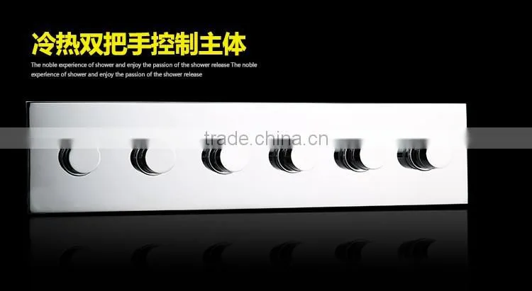 LABRAZE LE800600 shower panel with LED light and cold and hot water faucet