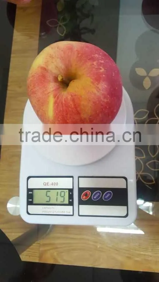 fresh fruit from China high quality and good price red big sweet crisp hanfu fresh apple