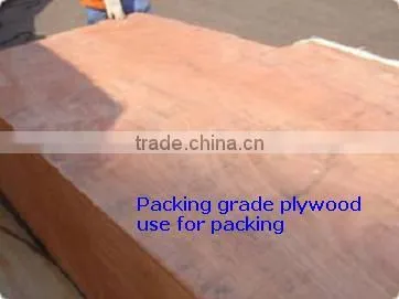 1220x2440mm good quality plywood sheet