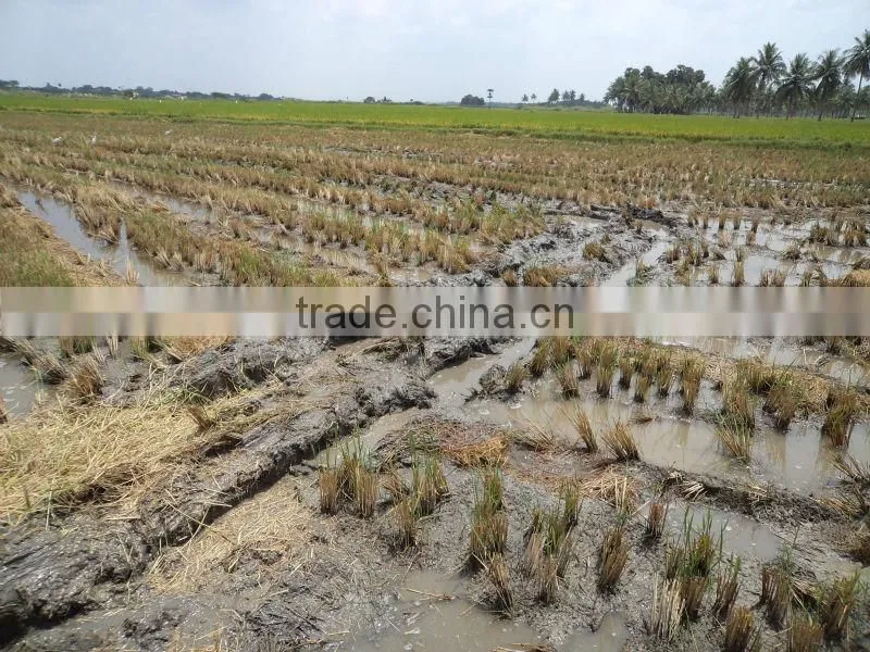 Wheat&Rice Combine Harvester