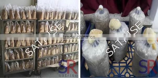 2016 Mushroom Cultivation plastic moving crate sale For Bags
