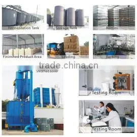 Zhongshan Jolion Foodstuffs Co., Ltd. company overview - view 2