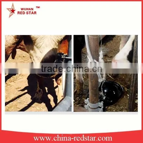 Automatic Horse Water Bowl For Cattle