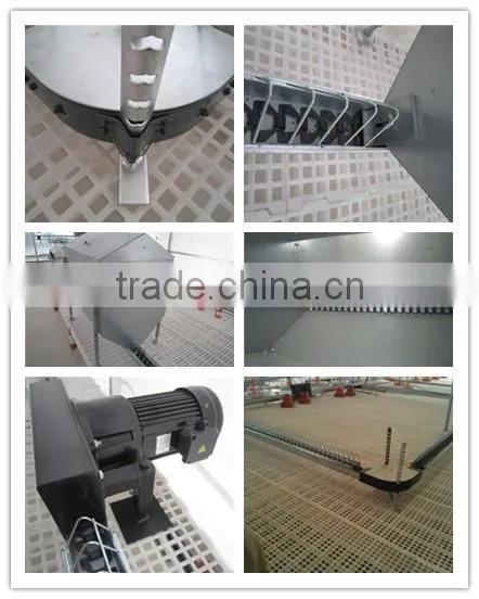Poultry Chain Feeding System/Automatic Poultry Feeder For Broiler and Breeder Shed