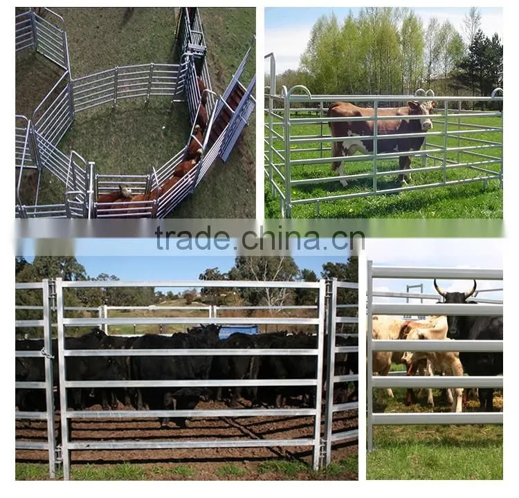 Super heavy duty hot dipped galvanized livestock cattle yard panels