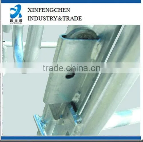 Cattle head lock