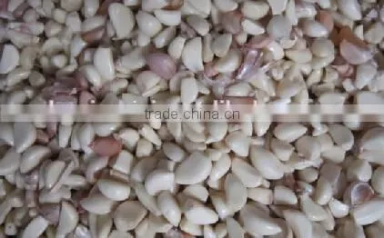 Belt Type CCD Color Sorter for Fresh Garlic or beans or seeds 0086 371 65866393
