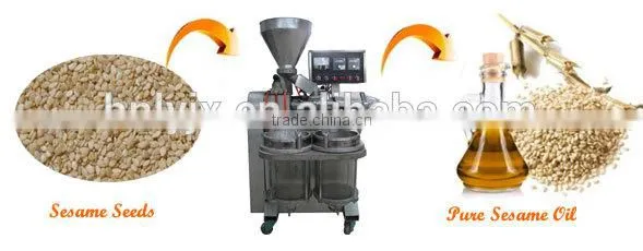 Malaysia customer love cocoa bean hydraulic oil press machine