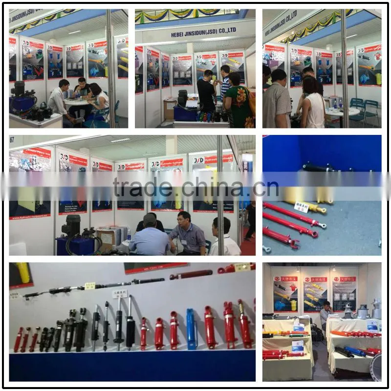 BM Series Hydraulic Motor with CE,BV Certificate