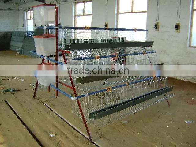 3 and 4 tiers A type layer chicken cages,automatic poultry cages