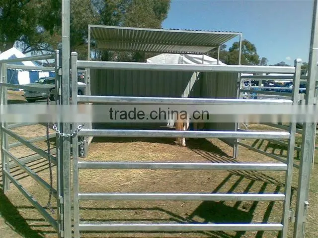 horse fence
