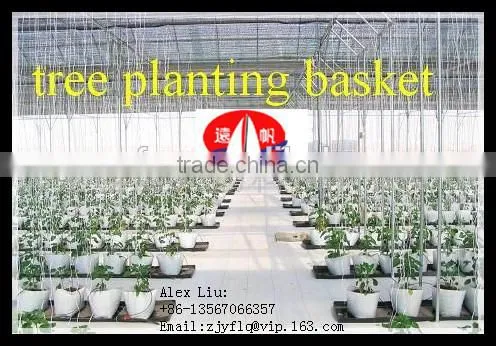 100% PP spunbond non-woven fabric used for non woven Seedling bag