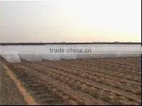 Pp spunbond nonwoven Fabrics for Crop Protection / Agriculture