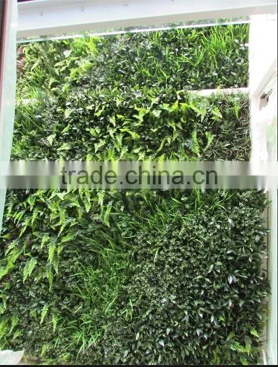 vertical garden green plants wall,green wall backdrop