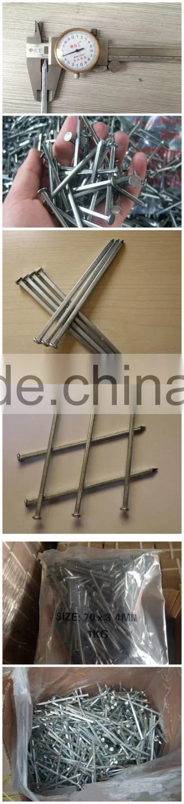Cheap Price Hot Dipped Galvanized Boat Nails Square Shank Boat Nails