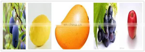High Quality Fruit Jam Production Line In Shanghai