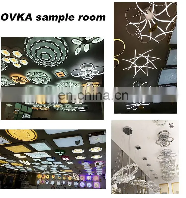 Chinese supplier Creative leaf surface mounted LED ceiling lights