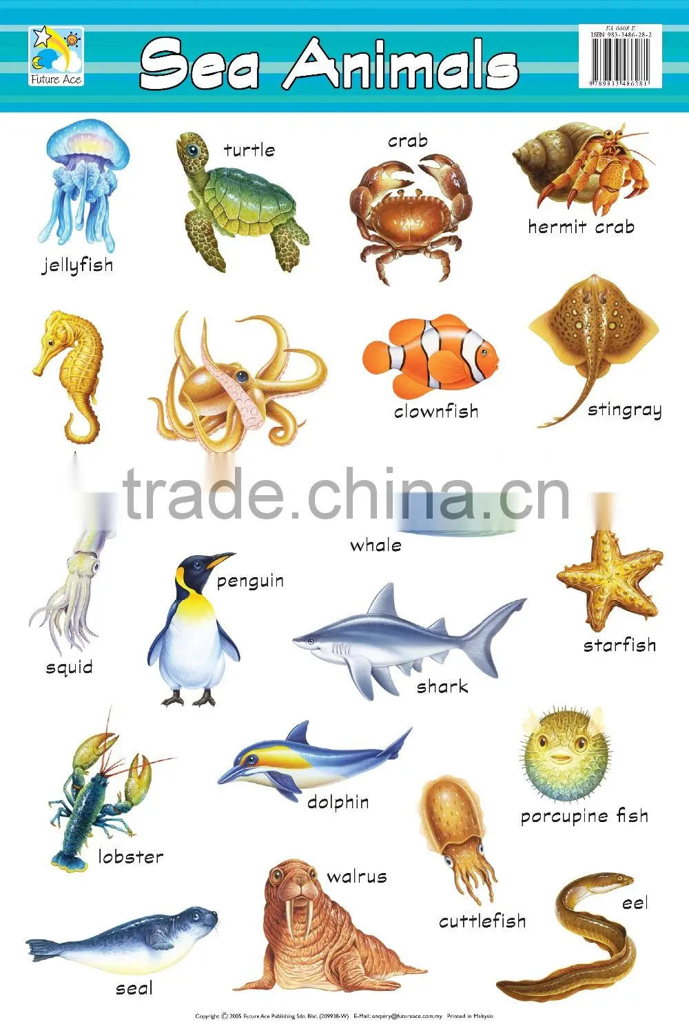 Wall Chart - FA0008E Sea Animals