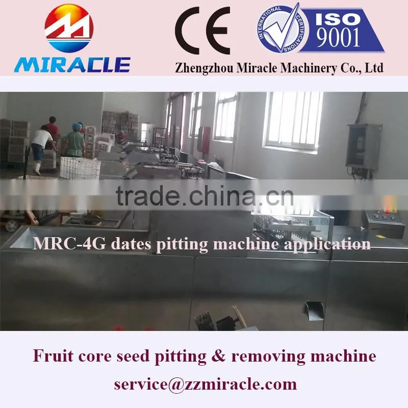 Fast Delivery Date Palm Core Seed Removing Machine From Fruit Process