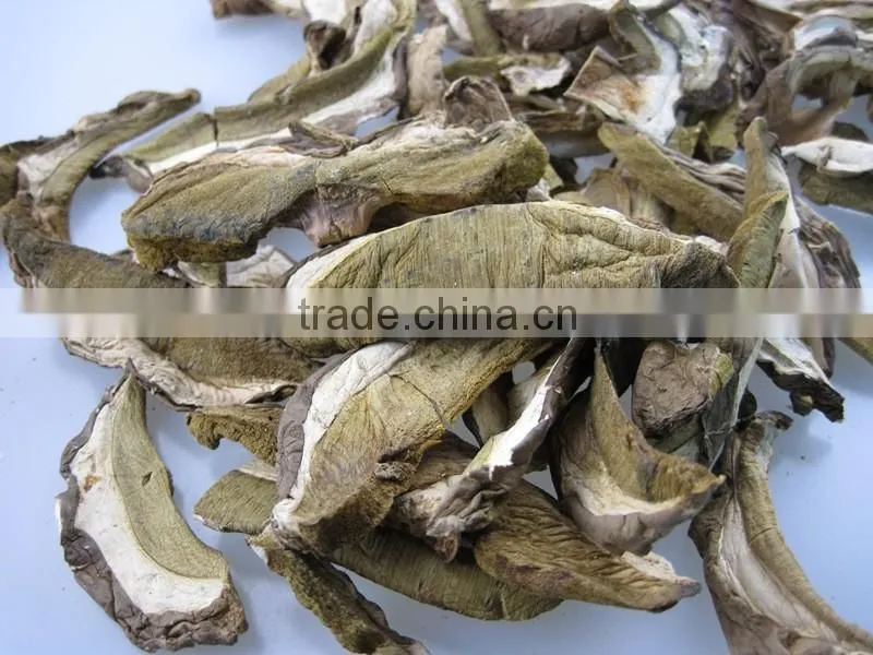 Porcini Mushroom Dried Boletus From Yunnan