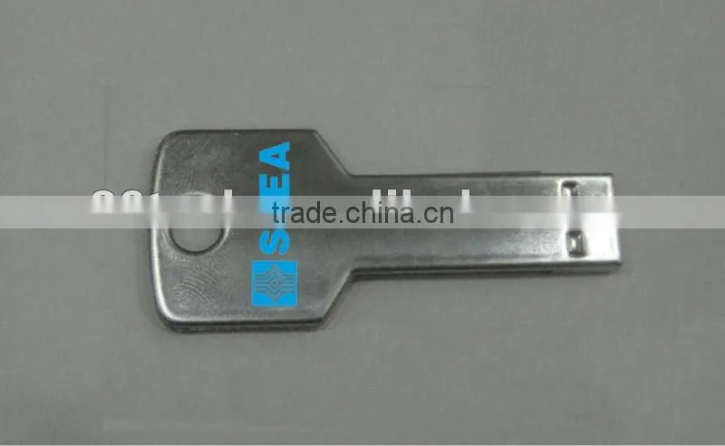 Oem Metal Key Bulk 1gb 2.0 usb flash drive For Promotional Gift